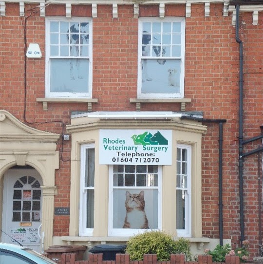 Rhodes Veterinary Surgery - Northampton , United Kingdom