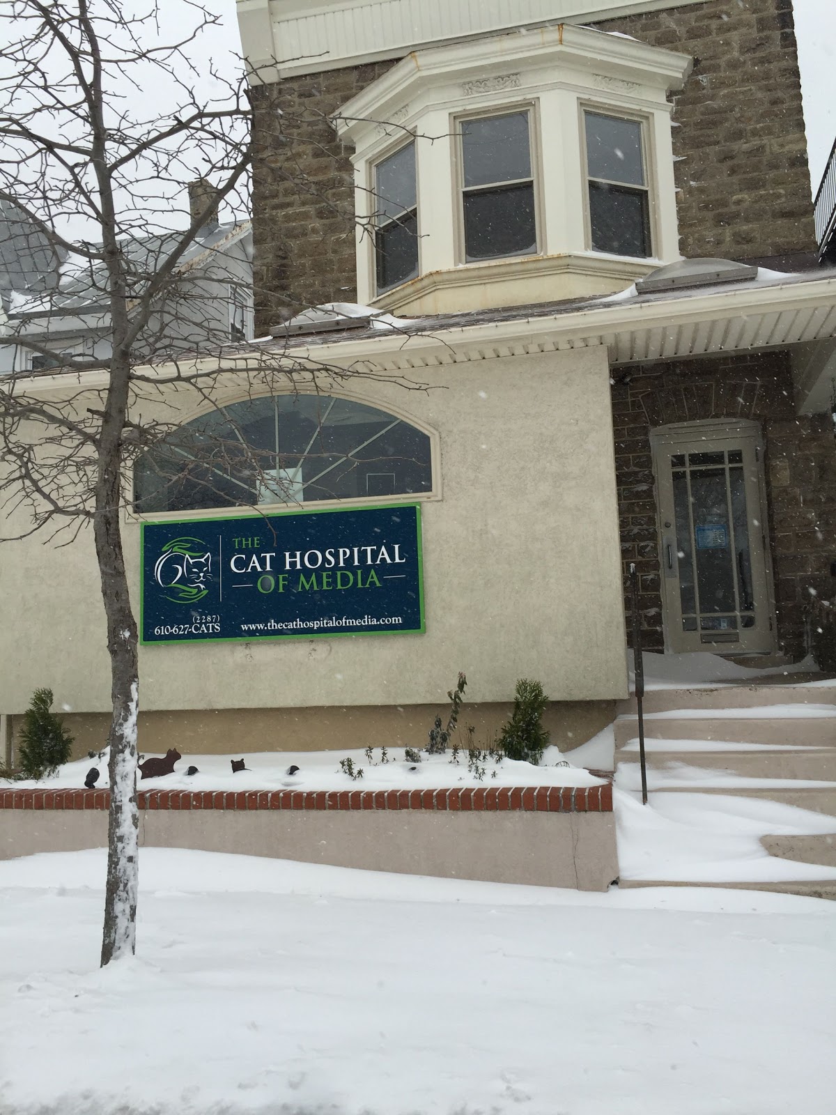 The Cat Hospital Of Media - Media , United States