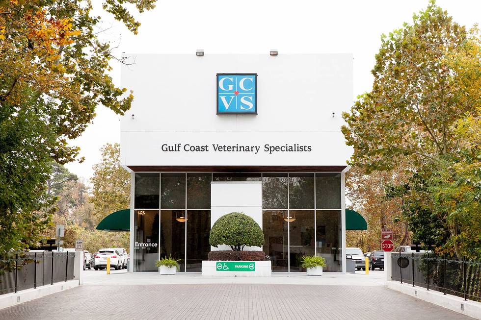 Gulf Coast Veterinary Specialists Gcvs - Houston , United States