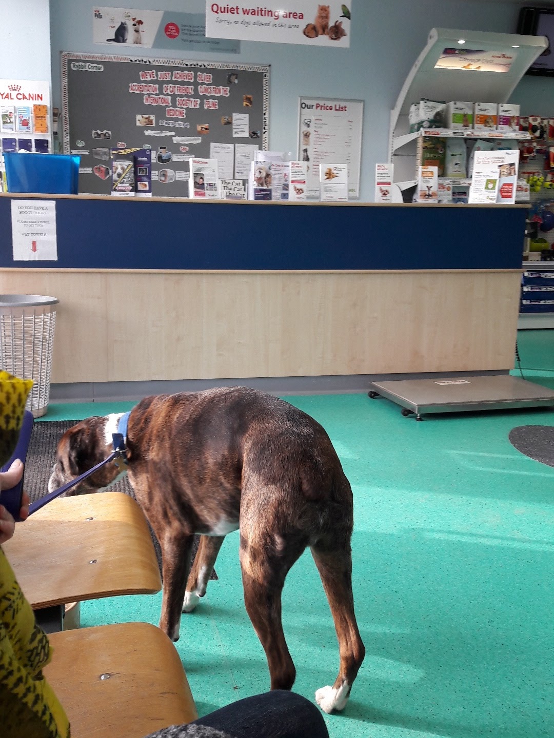 Wakefield Vets4Pets - Wakefield , United Kingdom