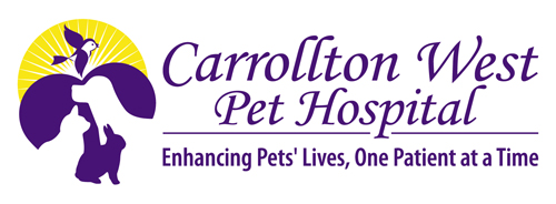Carrollton West Pet Hospital - Carrollton , United States