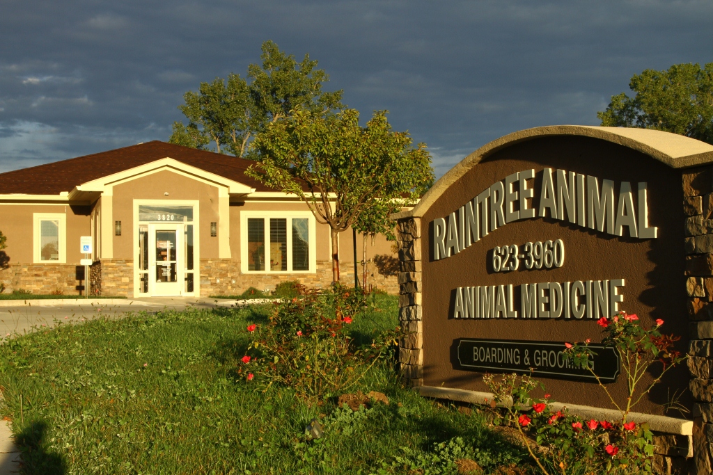 Raintree Animal Animal Hospital - Lee's Summit , United States