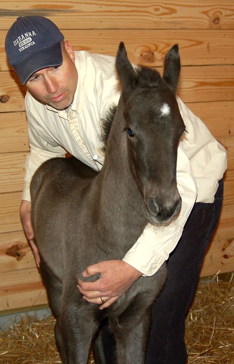 Tidewater Equine Clinic And Farm Animal Services - Williamsburg , United States