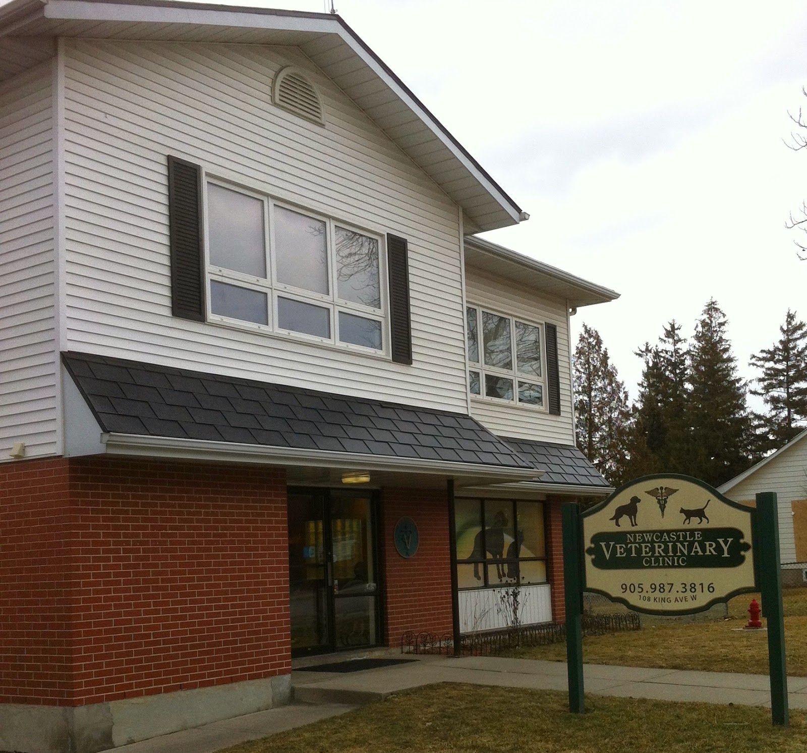 Newcastle Veterinary Clinic - Newcastle , Canada