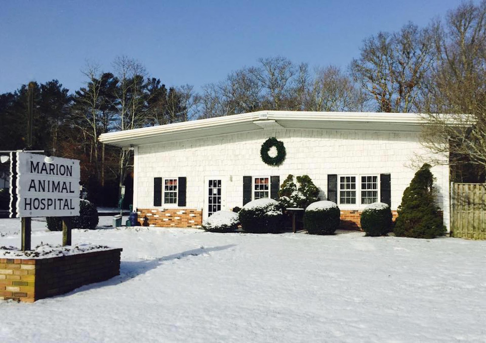 Marion Animal Hospital - Marion , United States