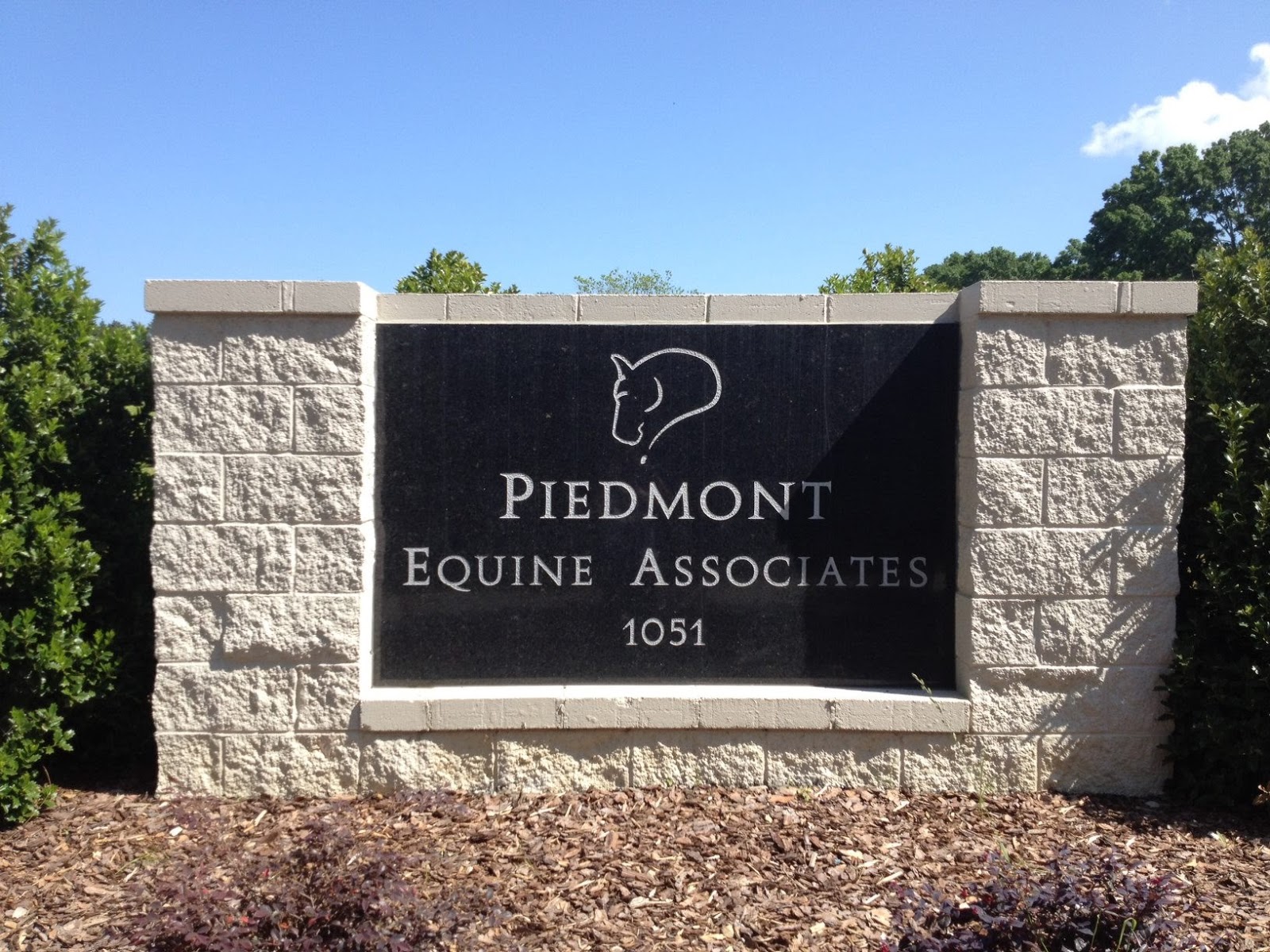 Piedmont Equine Associates - Madison , United States