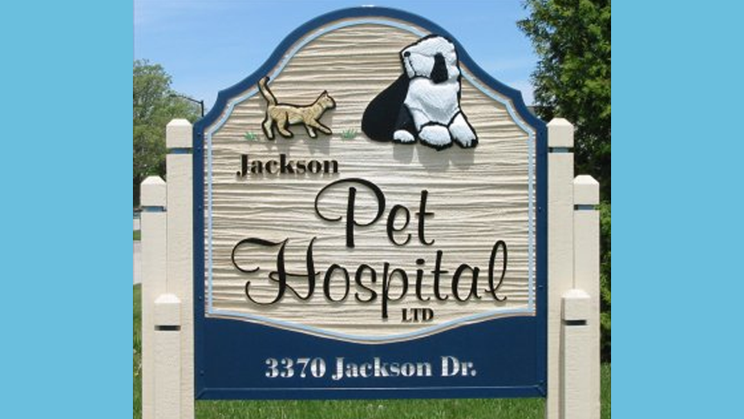 Jackson Pet Hospital - Jackson , United States