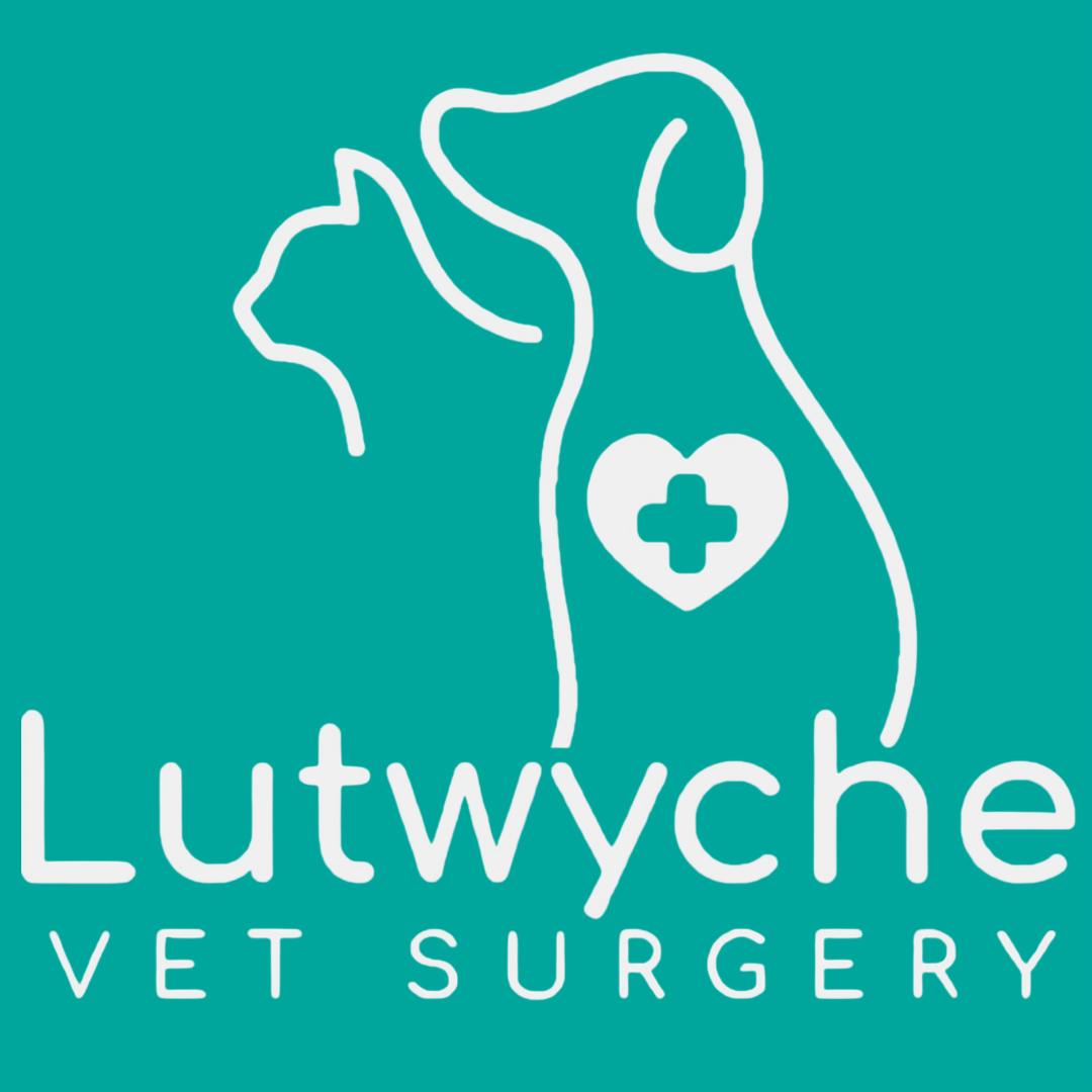 Lutwyche Veterinary Surgery - Lutwyche , Australia