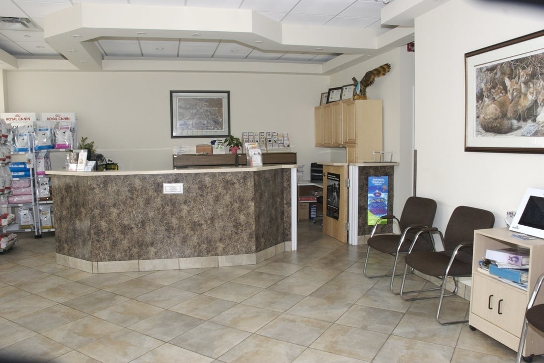 Bramalea Animal Hospital - Brampton , Canada