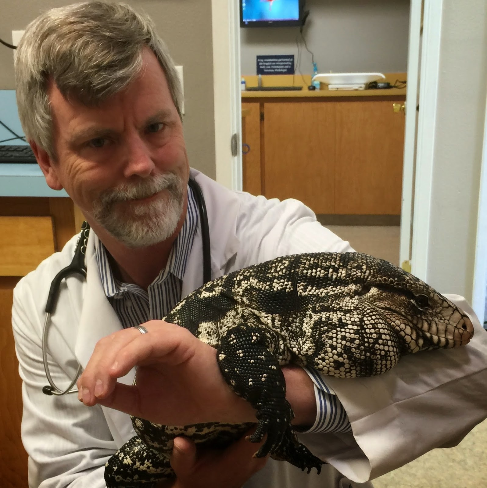 Pet Hospital Of Penasquitos Veterinary Specialist - San Diego , United States