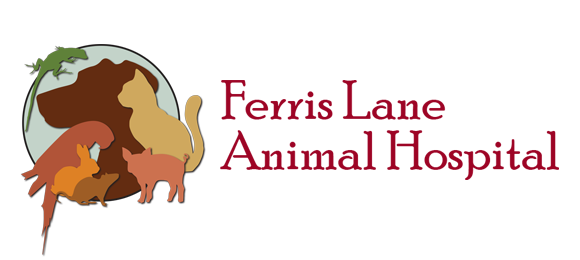 Ferris Lane Animal Hospital - Barrie , Canada