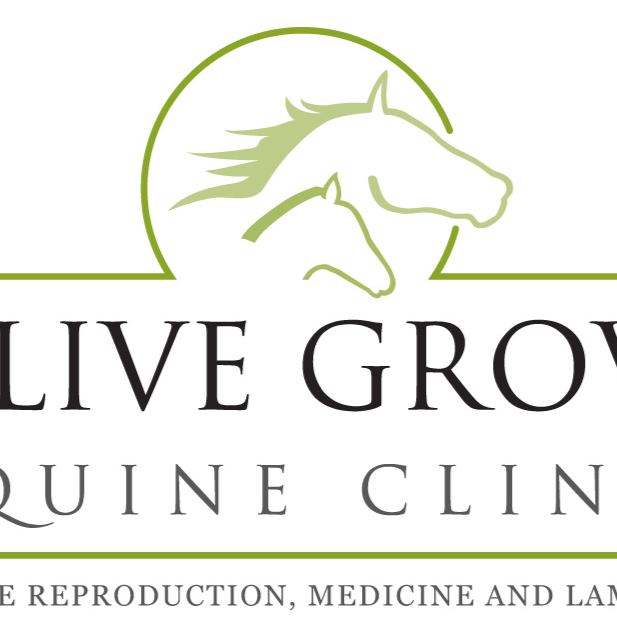 Olive Grove Equine Clinic - Bullsbrook , Australia