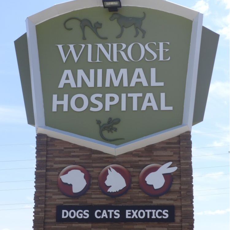 Winrose Animal Hospital - Winnipeg , Canada