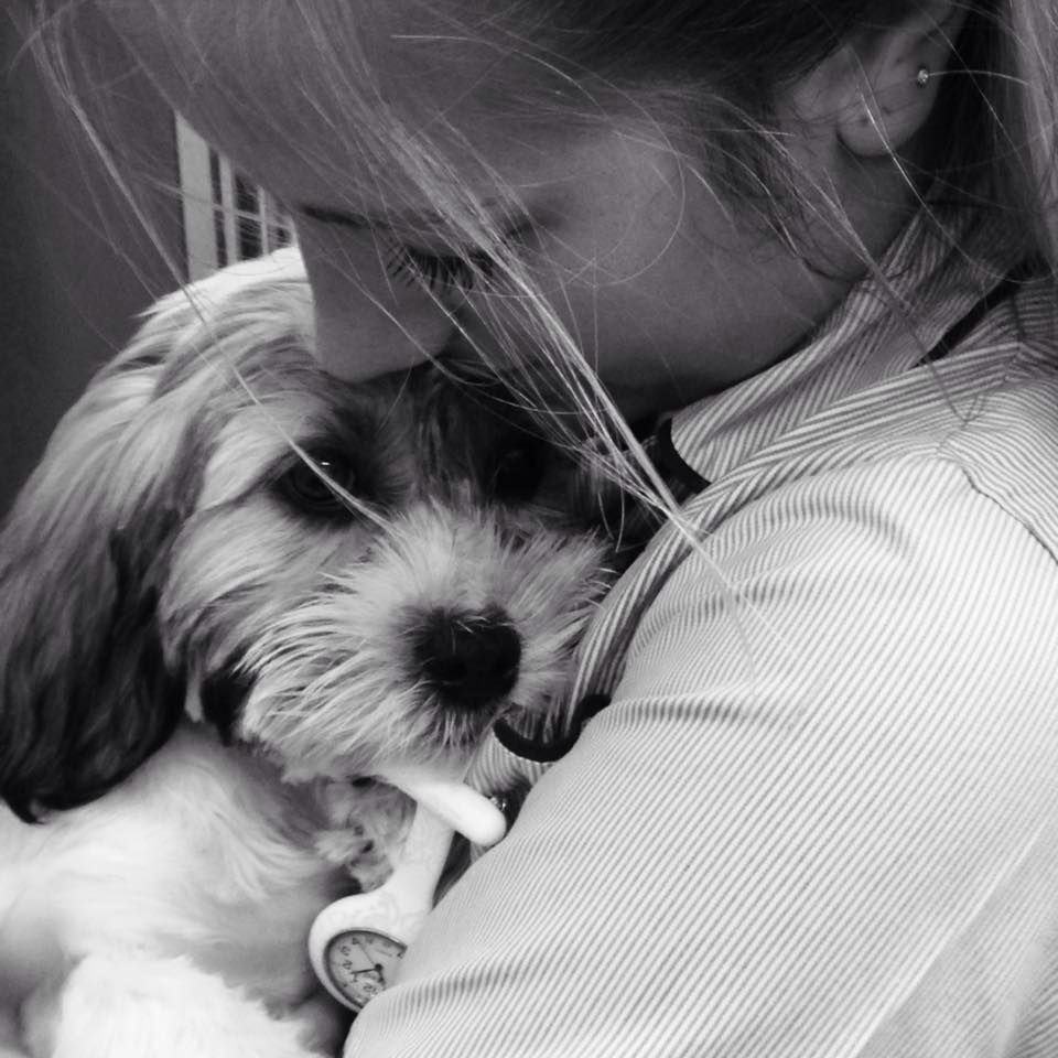The Broadway Veterinary Centre - Herne Bay , United Kingdom