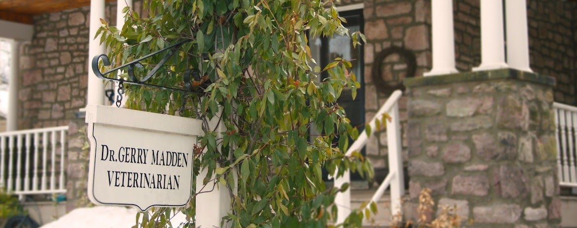 Madden Animal Hospital - Ambler , United States