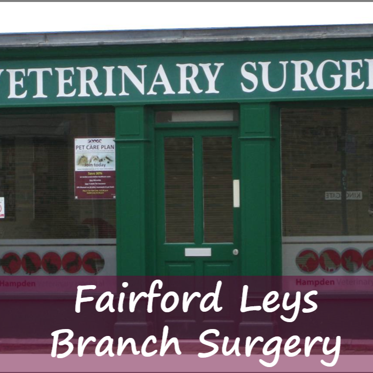Hampden Veterinary Hospital - Aylesbury , United Kingdom
