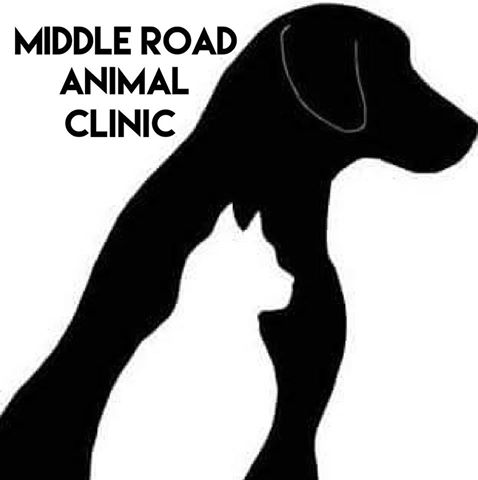 Middle Road Animal Clinic - Glenshaw , United States
