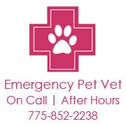 South Reno Veterinary Hospital - Reno , United States