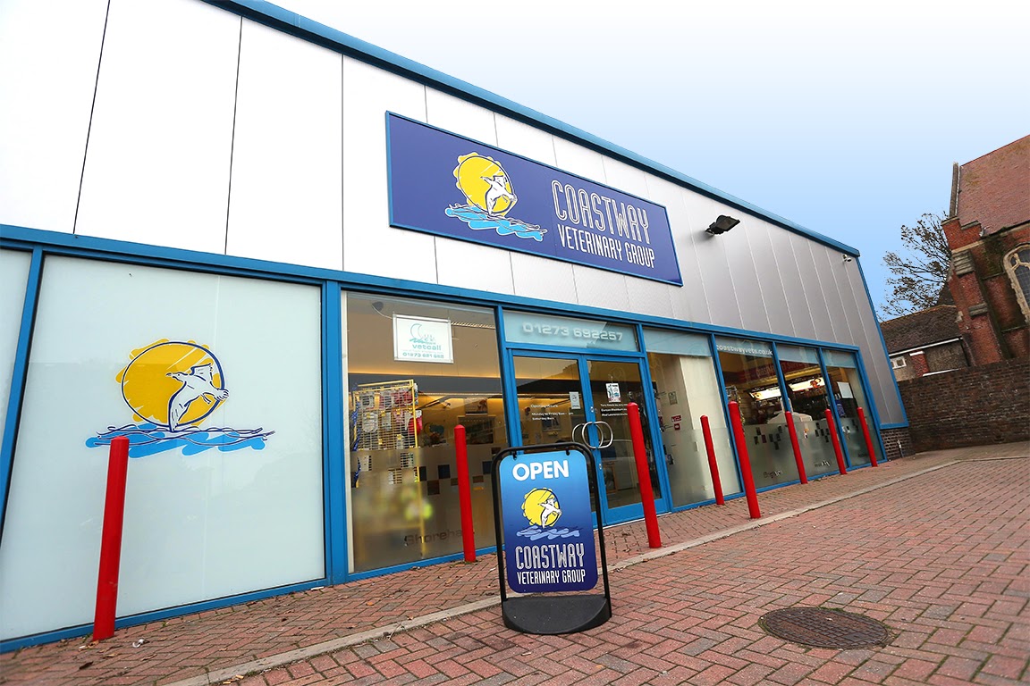 Coastway Vets Brighton - Brighton , United Kingdom