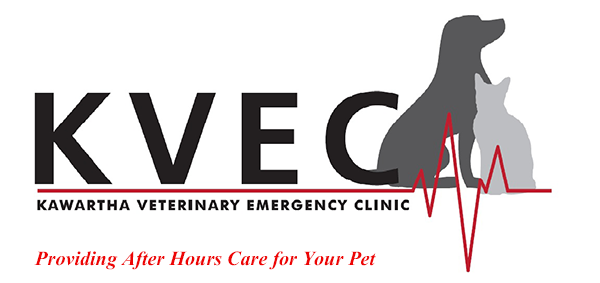 Kawartha Veterinary Emergency Clinic - Peterborough , Canada