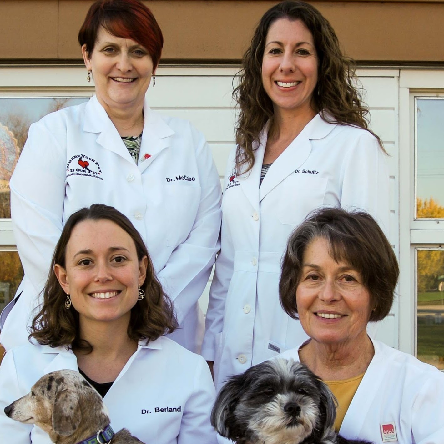 Burleigh Road Animal Hospital - Brookfield , United States