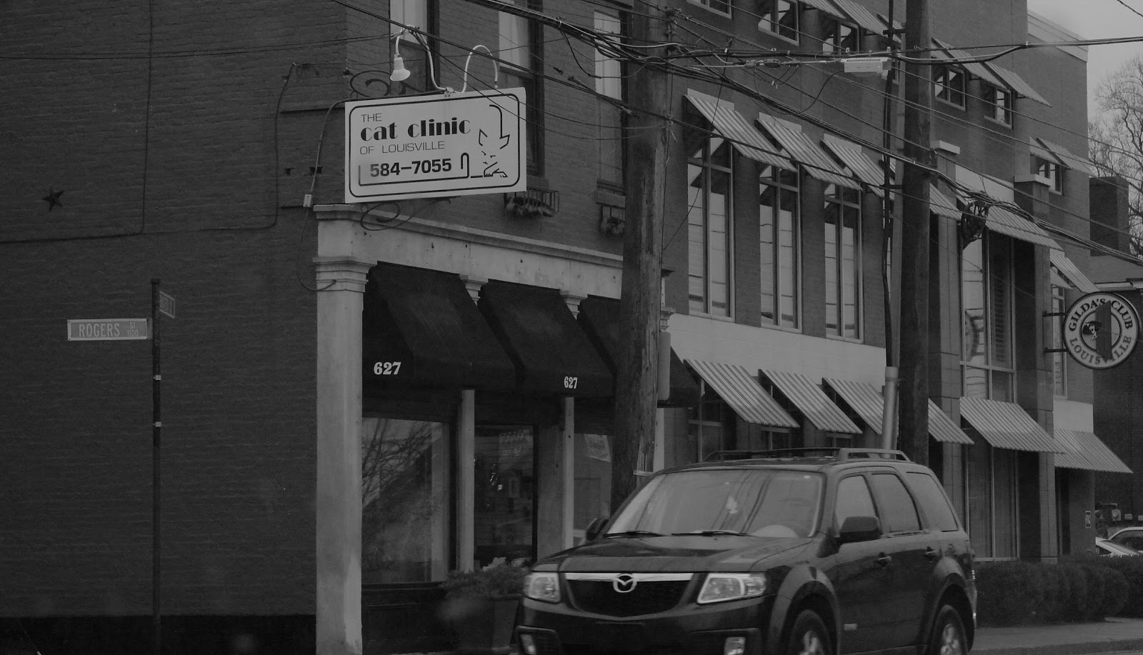 Cat Clinic Of Louisville - Louisville , United States