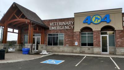 404 cheap vet hospital