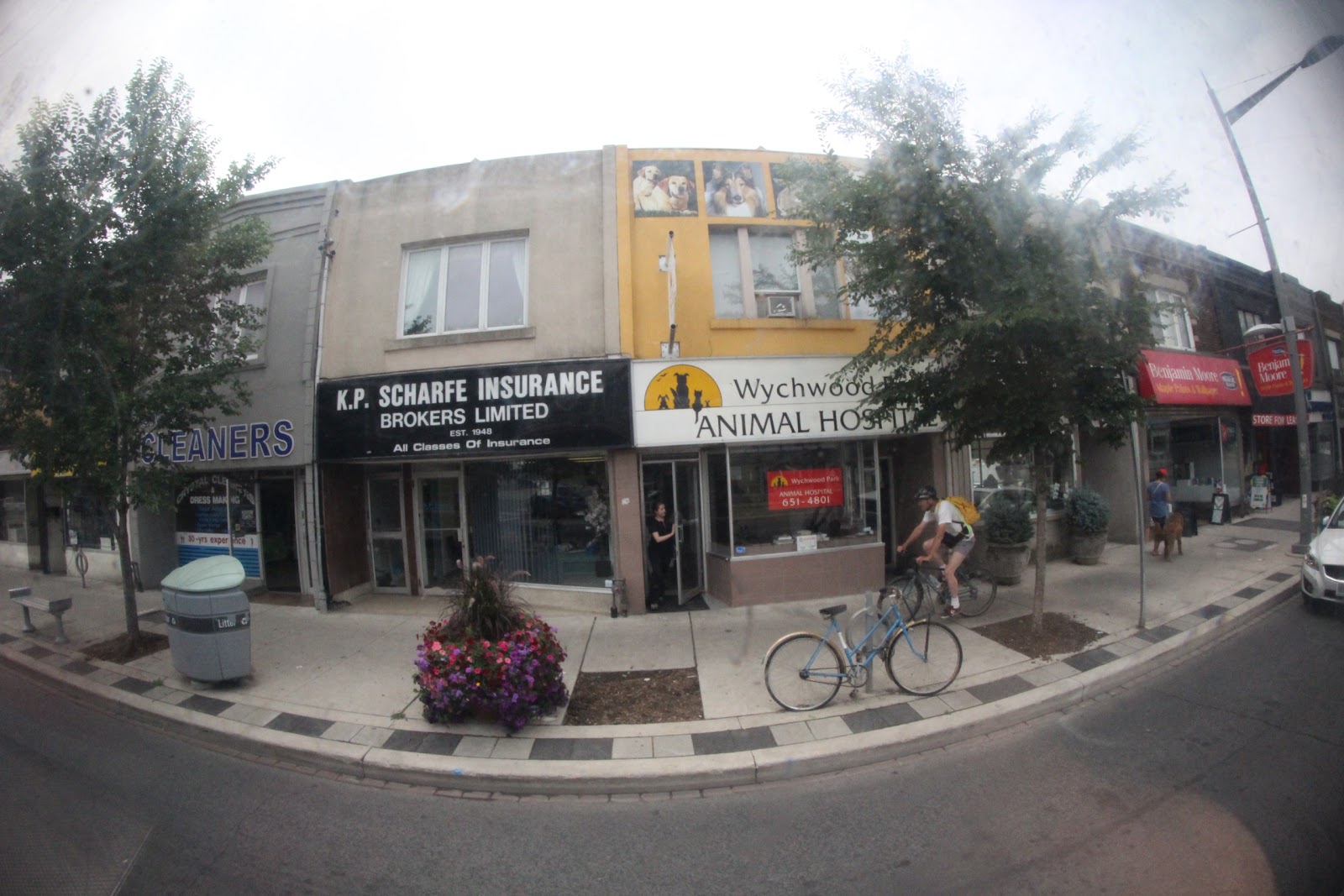 Wychwood Park Animal Hospital - Toronto , Canada