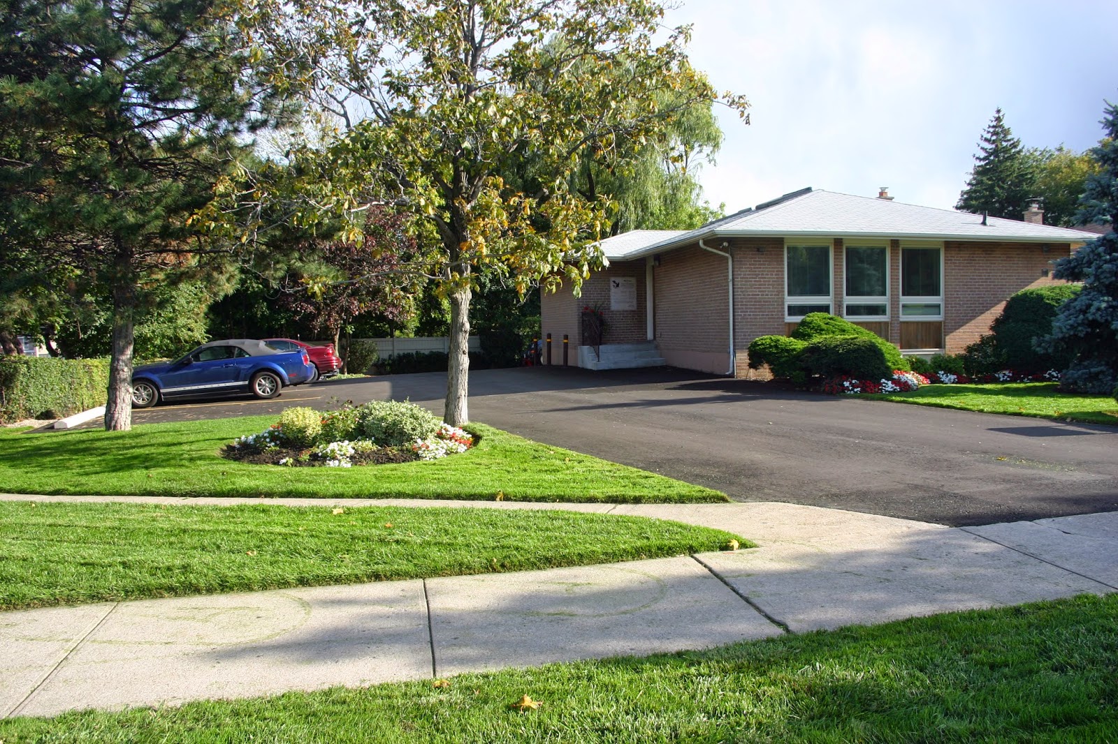 Southdown Animal Clinic - Mississauga , Canada