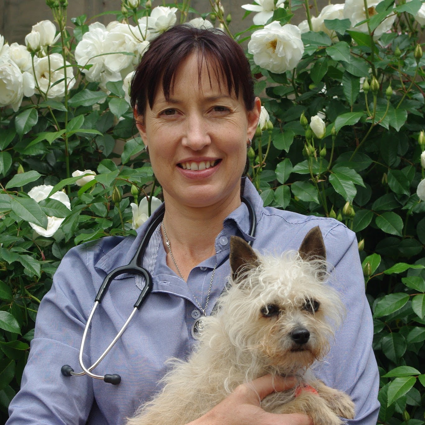 Mount Barker Veterinary Clinic - Mount Barker , Australia