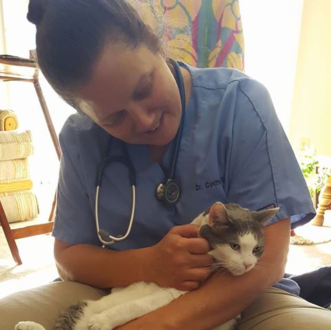 Claws 'n' Paws Mobile Vet Services - Colorado Springs , United States