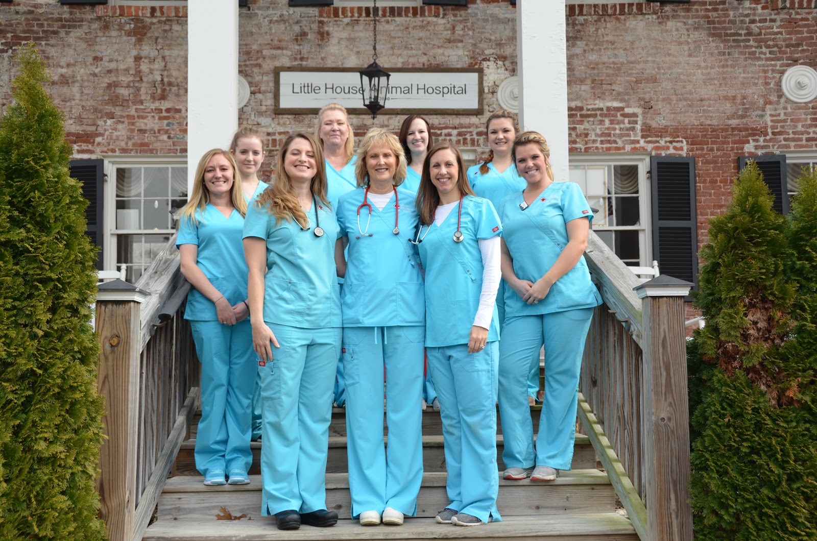 Little House Animal Hospital - Franklin , United States