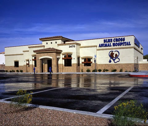 Vca Blue Cross Animal Hospital - Las Vegas , United States