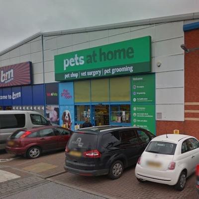 Pets 4 hot sale home vets