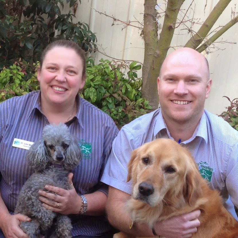 Mount Evelyn Veterinary Clinic And Animal Hospital - Mount Evelyn , Australia