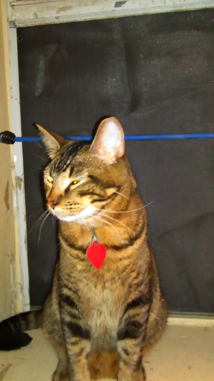 Sunflower Veterinary Care Clinic - Wichita , United States