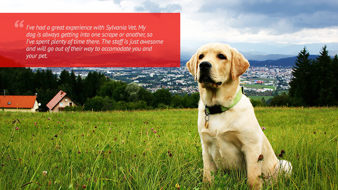 Vca Sylvaniavet Animal Hospital - Sylvania , United States