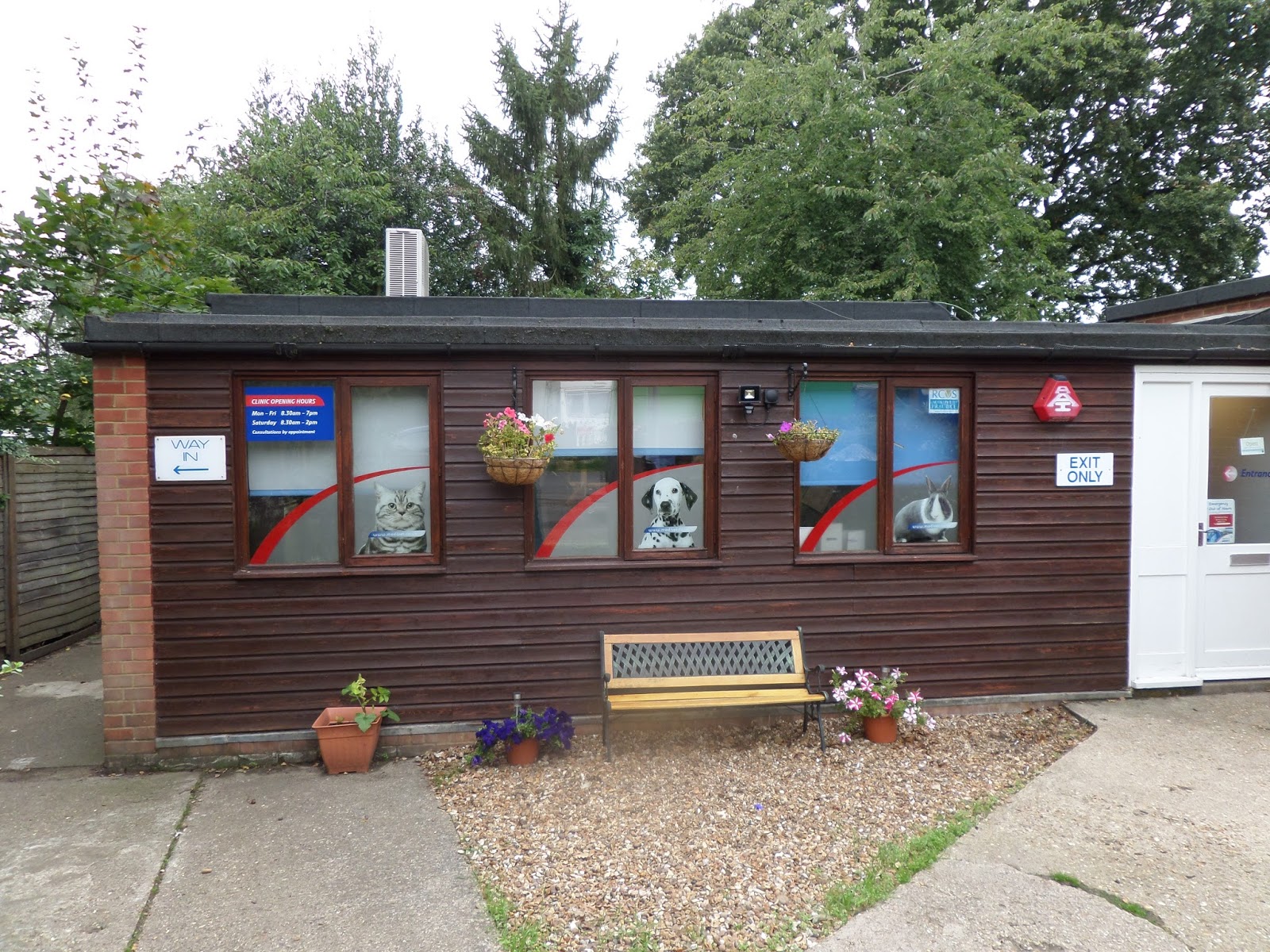 Medivet Flitwick - Bedford , United Kingdom