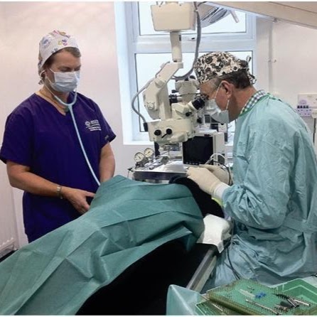 Westmoor Vets Tavistock - Tavistock , United Kingdom