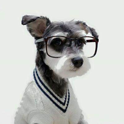 Business's Photo