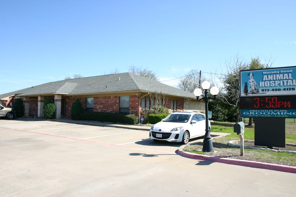 Murphy Road Animal Hospital - Sachse , United States