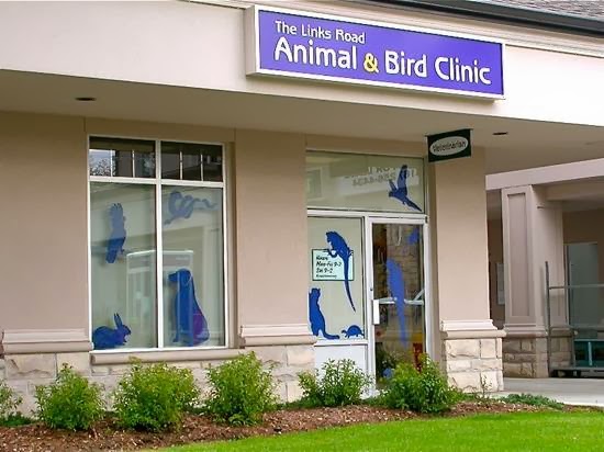 The Links Road Animal And Bird Clinic - Toronto , Canada