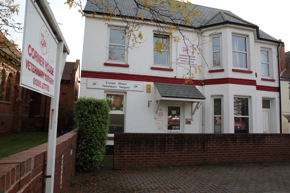 Corner House Veterinary Surgery - Exmouth , United Kingdom