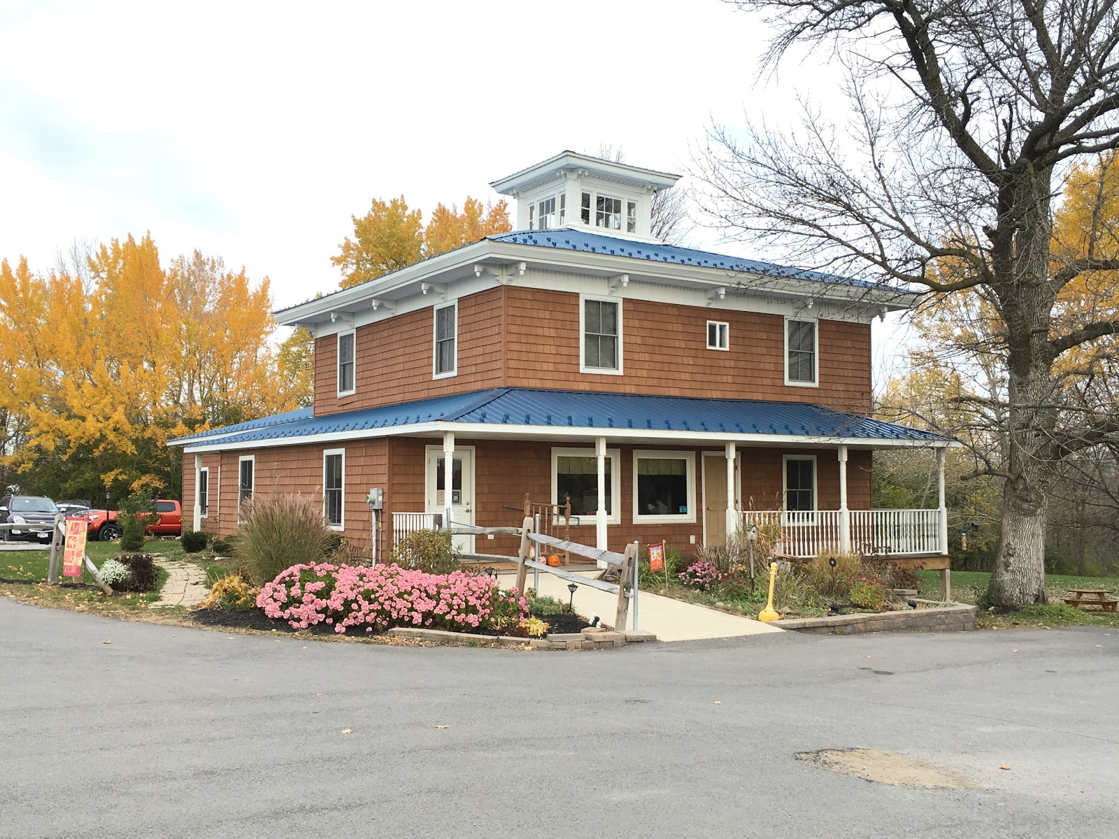 The Country Vet - Canandaigua , United States