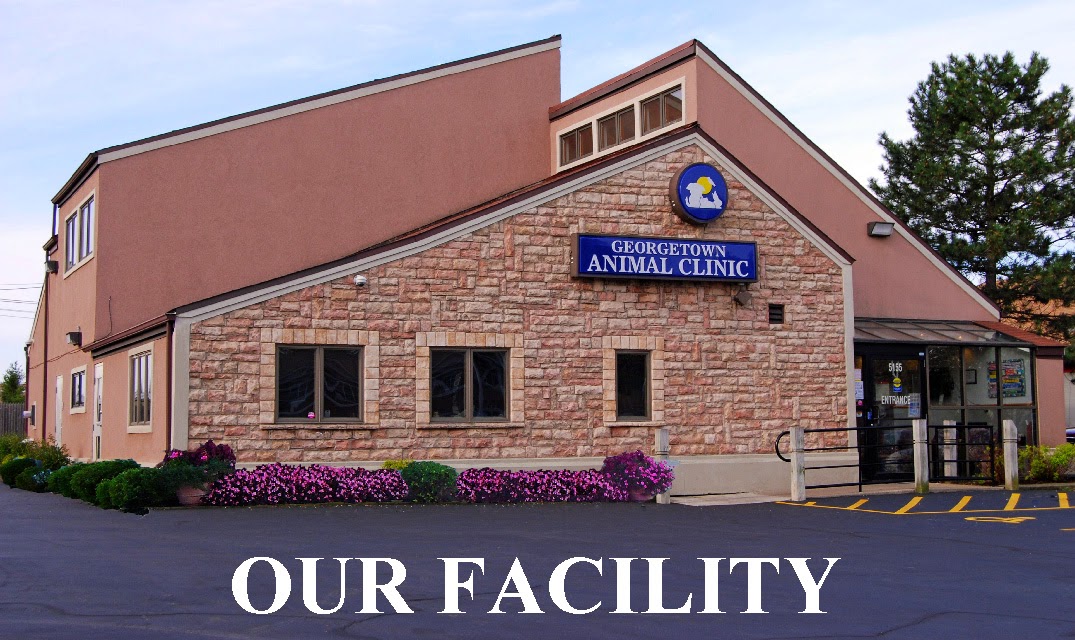 Georgetown Animal Clinic Pc - Williamsville , United States