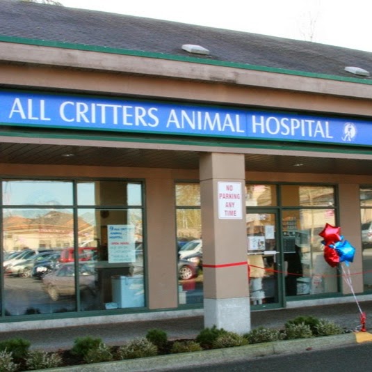 All Critters Animal Hospital - Surrey , Canada