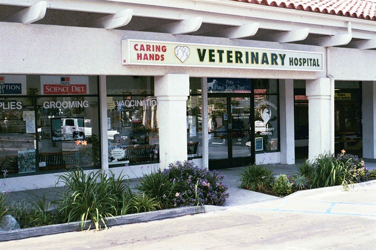 Caring Hands Veterinary Hospital A Thrive Pet Healthcare Partner - Thousand Oaks , United States