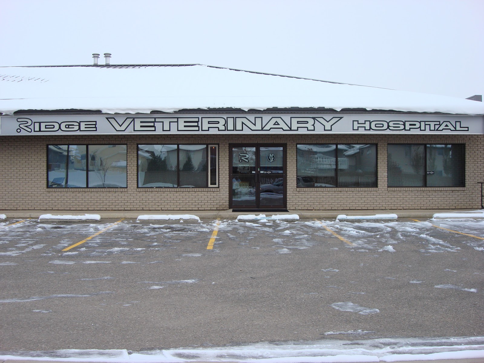 Central Animal Hospital - Medicine Hat , Canada