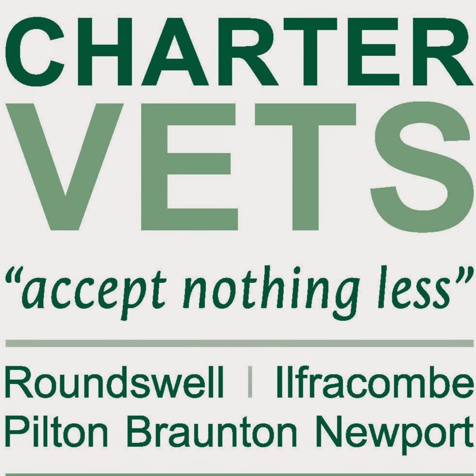 Charter Vets Braunton - Braunton , United Kingdom