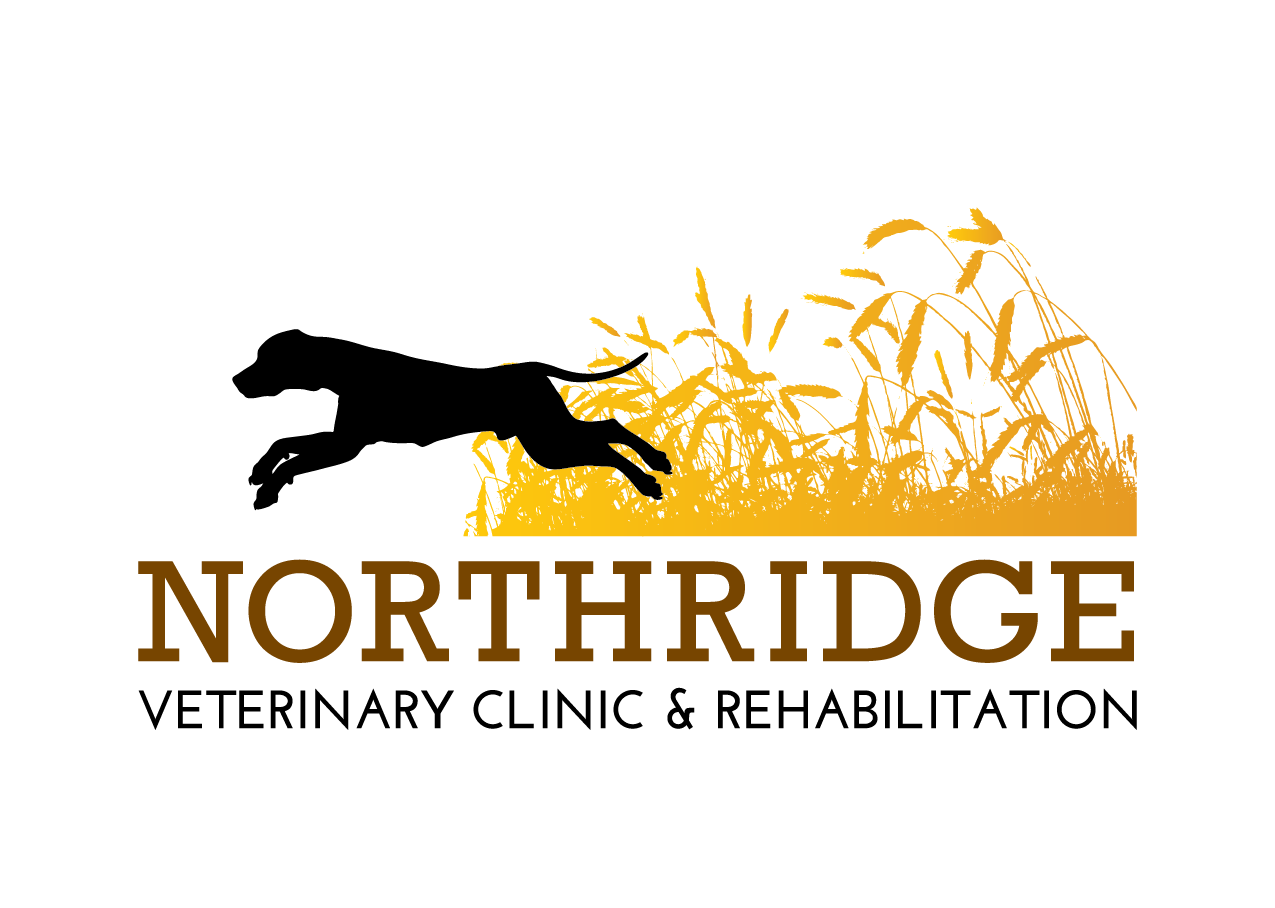 Northridge Veterinary Clinic And Rehabilitation - Wichita , United States